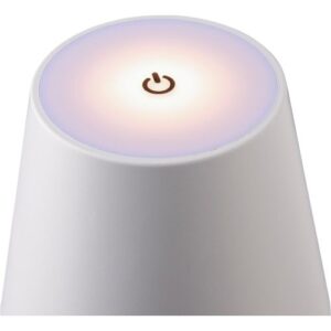 ABS light Caius 1204261