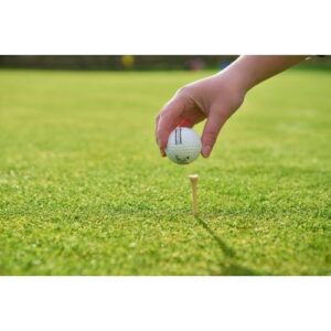 Wooden golf tees Nyssa 1206642