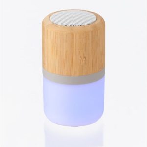 ABS and bamboo speaker Salvador 674852