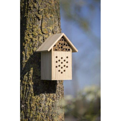 Wooden bee house 737168