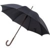 RPET polyester (170T) umbrella Barry 8422