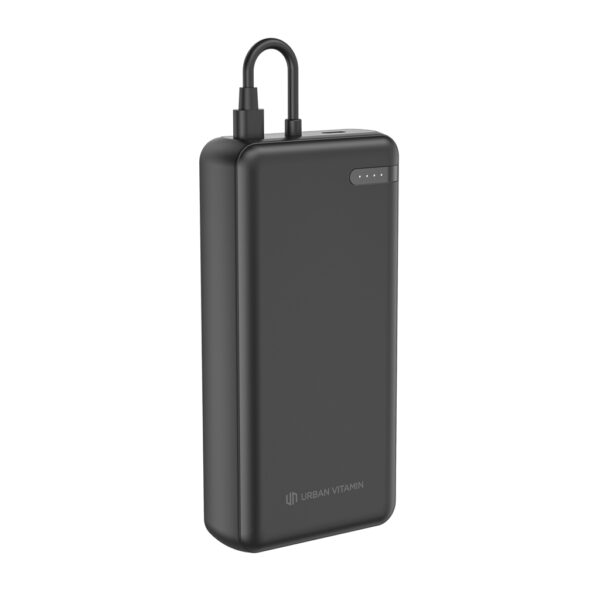 000 20WPD powerbank P322.8801