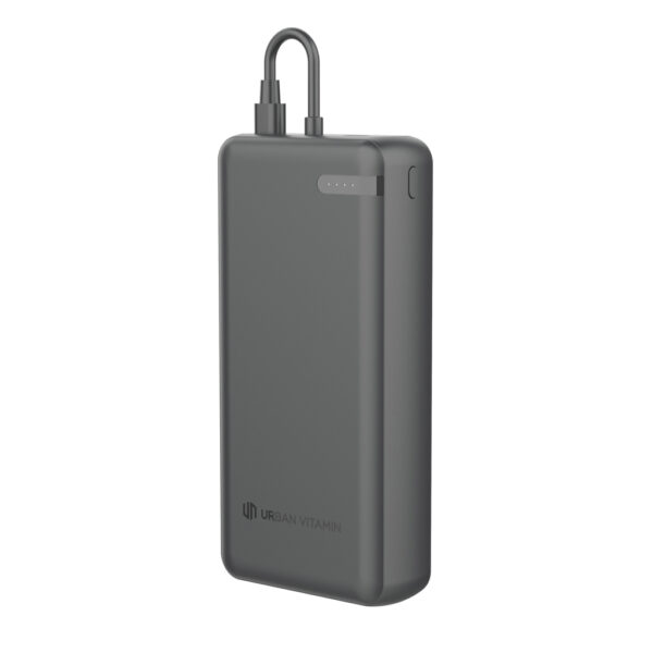 000 20WPD powerbank P322.8801