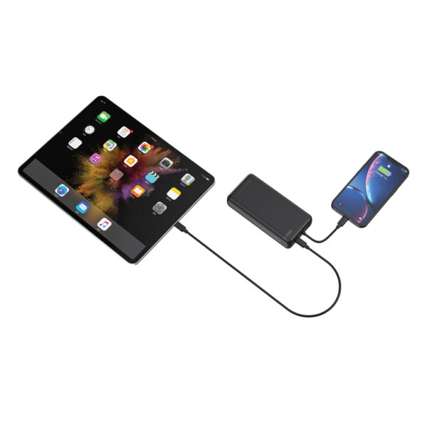 000 20WPD powerbank P322.8801