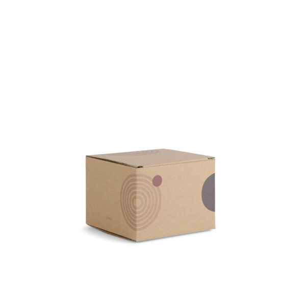 VINGA Paso smash burger press V4220213