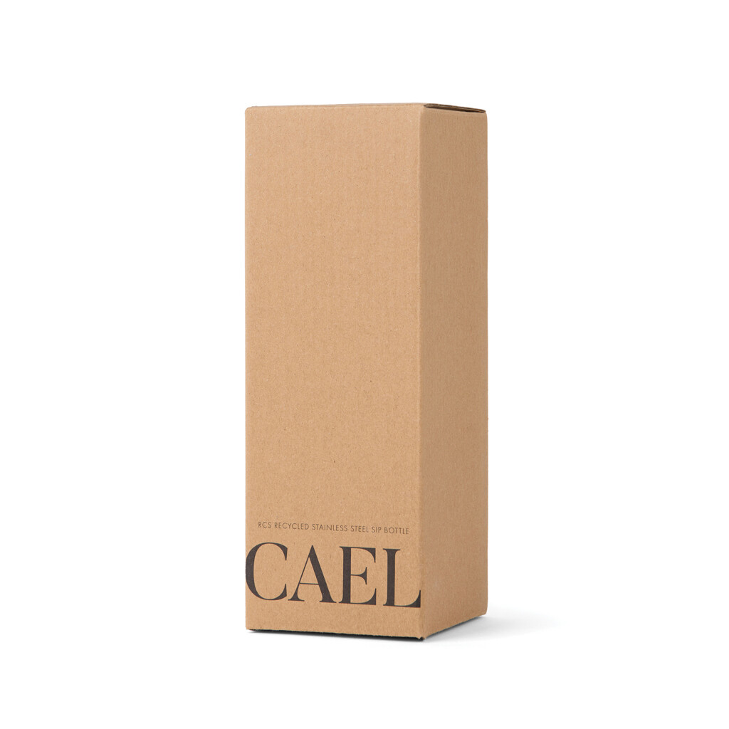 Boca termo VINGA Cael RCS od nehrđajućeg čelika 600ML V4301002