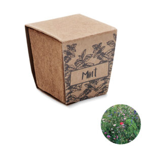 Mint seeds growing kit MINT KIT MO2410-13