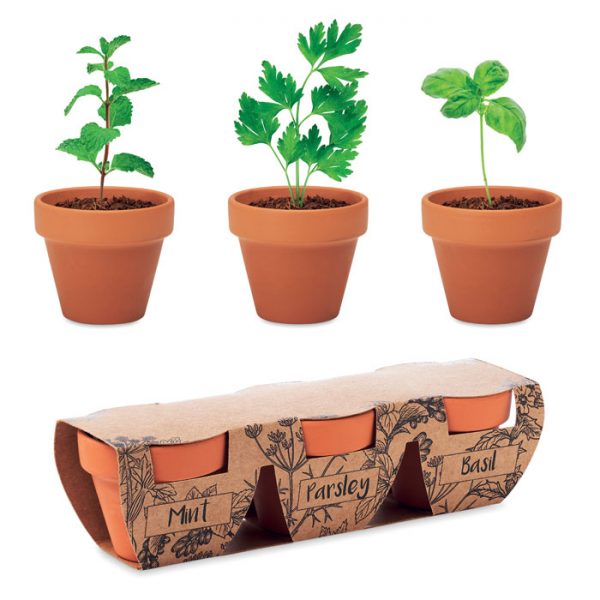 Terracotta 3 herb pot set FLOWERPOT MO6145-40