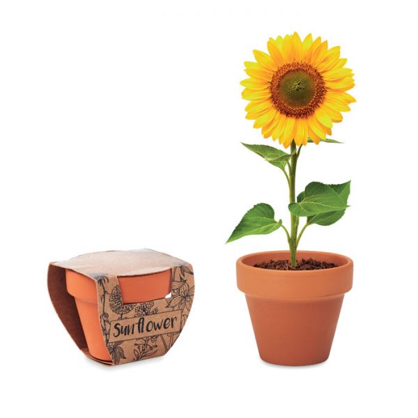 Terracotta pot 'sunflower' SUNFLOWER MO6147-40