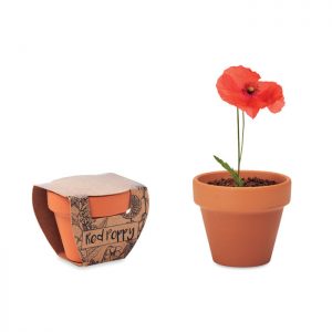 Terracotta pot 'poppy' RED POPPY MO6148-40