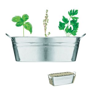 Zinc tub with 3 herbs seeds MIX SEEDS MO6497-16