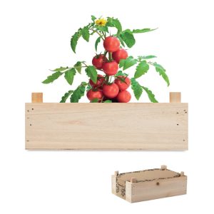 Tomato kit in wooden crate TOMATO MO6498-40