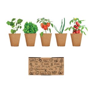 Salad growing kit SALAD MO6499-13