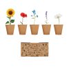 Flowers growing kit FLOWERS MO6500-13