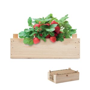 Strawberry kit in wooden crate STRAWBERRY MO6506-40