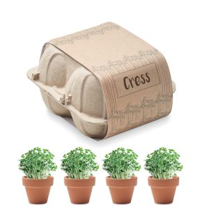 Egg carton growing kit CRESS MO6886-13